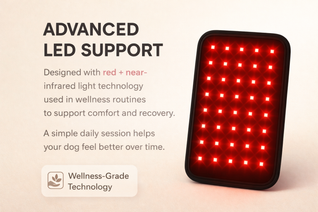 Daily Comfort Red Light Pad