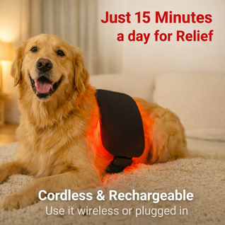 Daily Comfort Red Light Pad