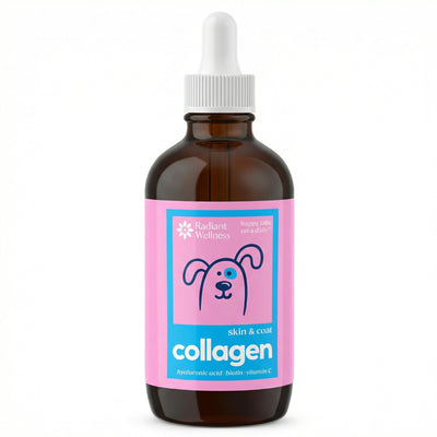 Vet-Trusted Skin & Coat Collagen Drops