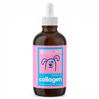 Vet-Trusted Skin & Coat Collagen Drops