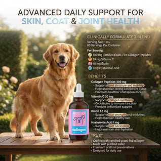 Vet-Trusted Skin & Coat Collagen Drops