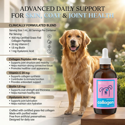 Vet-Trusted Skin & Coat Collagen Drops