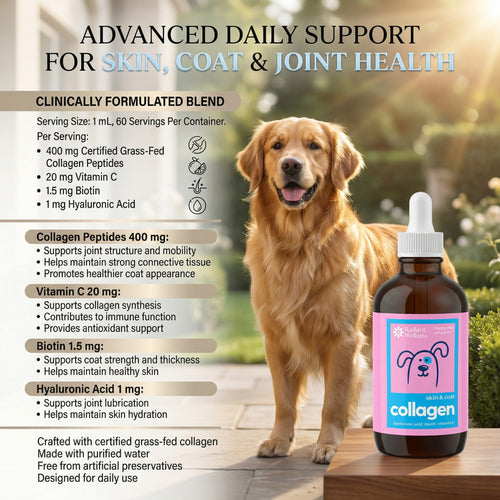 Vet-Trusted Skin & Coat Collagen Drops